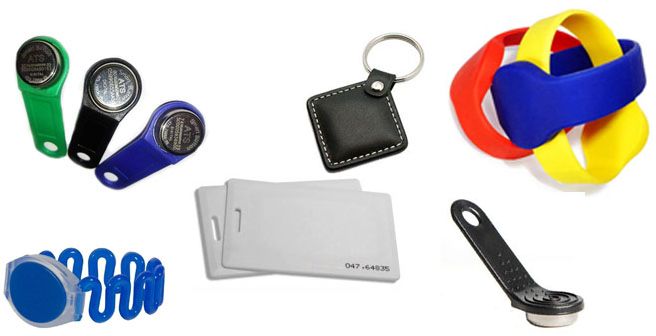 Без названия (24).png