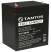 Аккумулятор Tantos 12В 4.5 А∙ч (TS 12045)