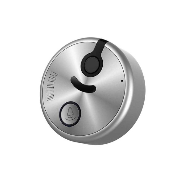 Панель CTV-D2500 вызывная для видеодомофона