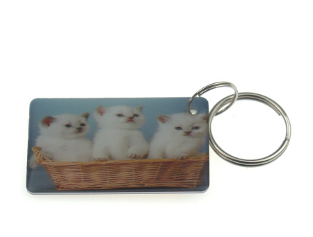 Заготовка RFID (H2) "Котики" брелок