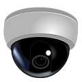 IP камеры купольные