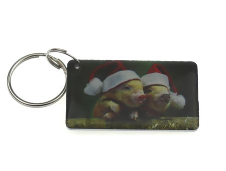 Заготовка RFID (H2) "Хрюшки 2" брелок