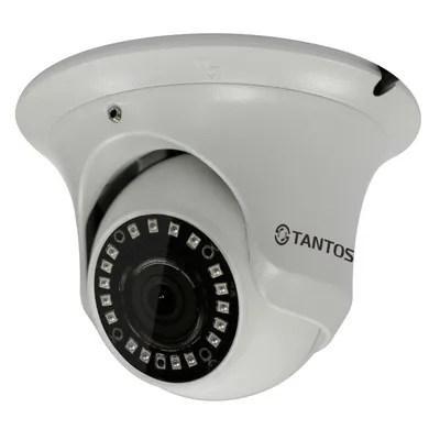Видеокамера Tantos TSi-Ee25FP