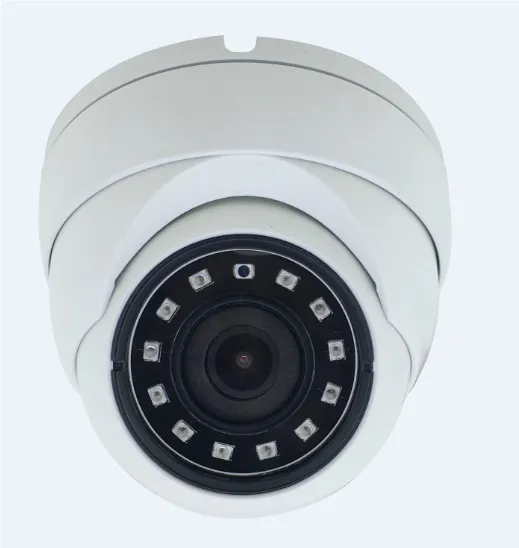 Уличная купольная видеокамера J2000-MHD5Dm20 (2.8) L.1